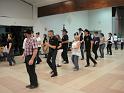 stferreolnov11 (12)